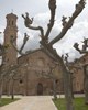 La Diputación Provincial de Zaragoza organiza las III Jornadas de Corales Aragonesas que se celebrarán en el Monasterio de Veruela
