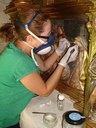 La Diputación de Zaragoza culmina la restauración integral del retablo romanista de la Virgen del Rosario de Langa del Castillo